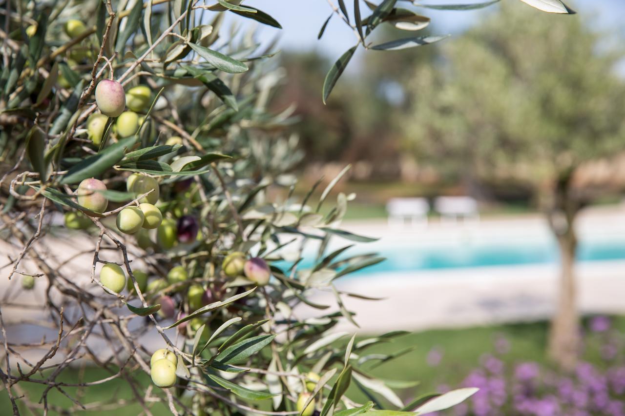 Masseria Saietti Ruffano Luaran gambar